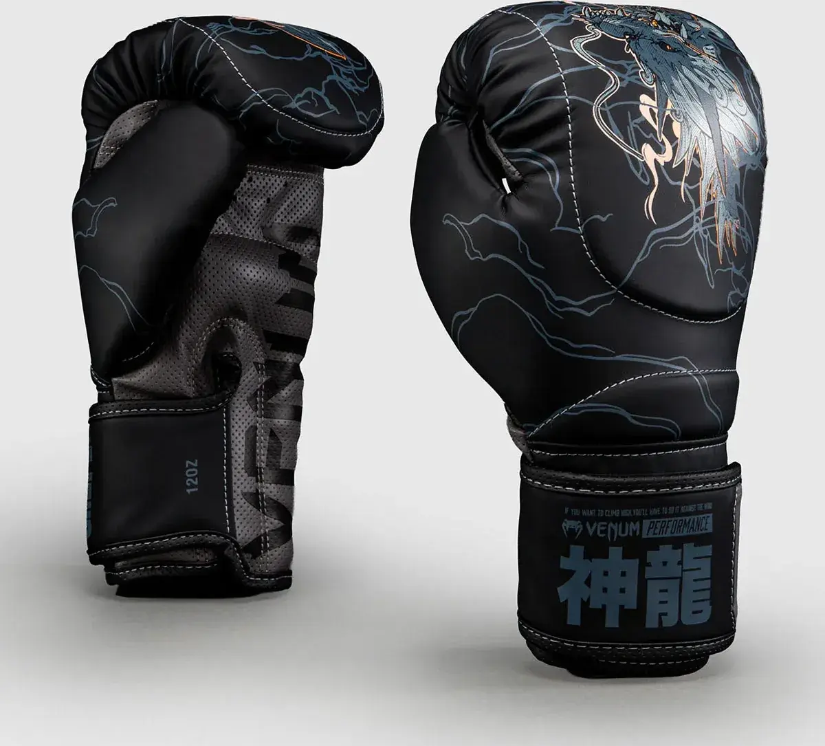 Guantes de boxeo Venum thunder dragon negro BLACK-GREY-COPPER-109