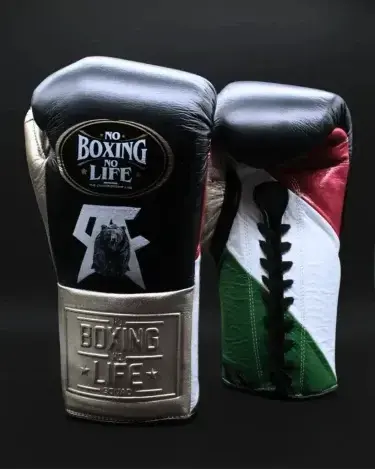 Guantes de boxeo No Boxing No Life "pro fight" canelo vs crawford